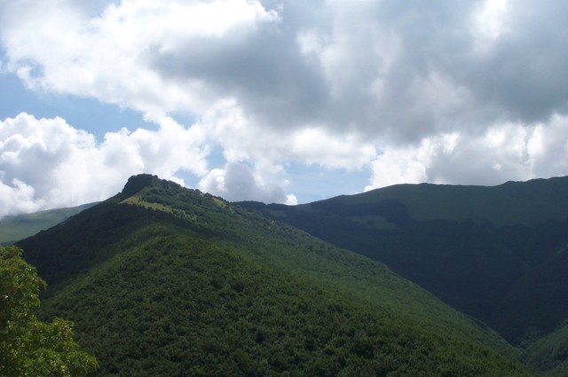 DCP_3698.JPG