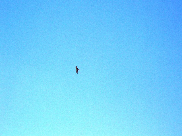 100_2265.jpg
