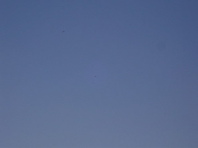 100_2266.jpg