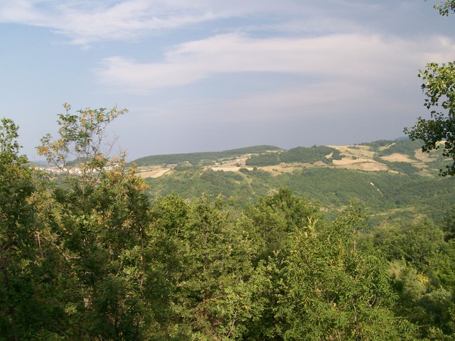 100_2300.jpg