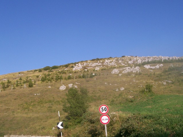 100_2395.jpg