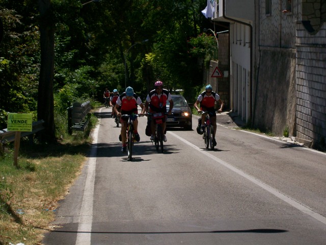 100_2596.jpg