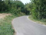DSC00531.JPG