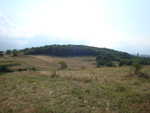 DSC00533.JPG