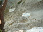 DSC00549.JPG