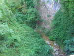 DSC00550.JPG