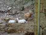 DSC00574.JPG