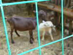DSC00576.JPG