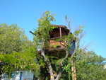DSC00681.JPG