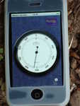 DSC00704.JPG