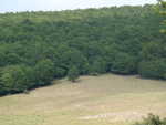 DSC00720.JPG