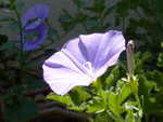 P1000227.JPG