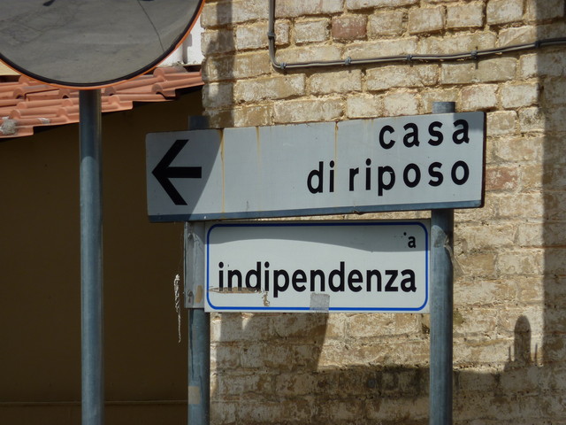 P1000239.JPG