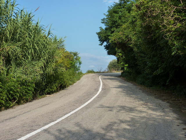 P1000254.JPG