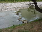 P1000261.JPG