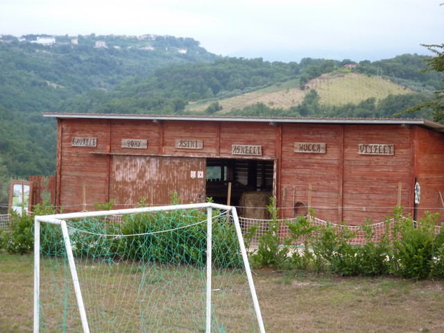 P1000267.JPG