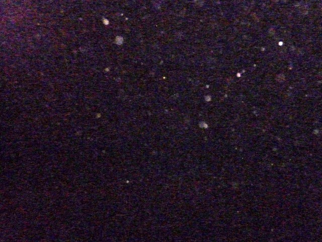 P1000304.JPG