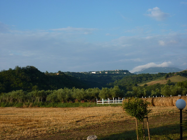 P1000308.JPG