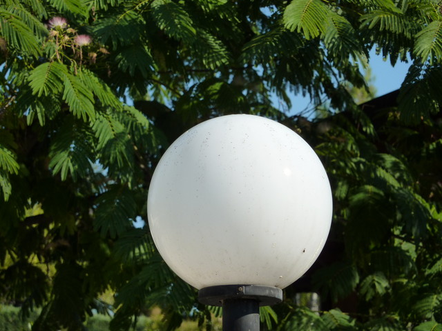 P1000310.JPG