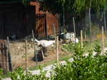 P1000318.JPG