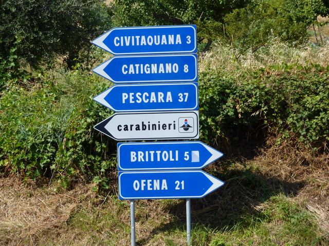 P1000325.JPG