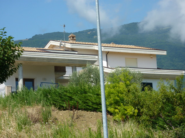 P1000329.JPG
