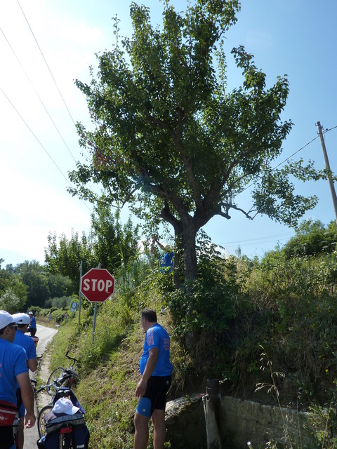 P1000330.JPG