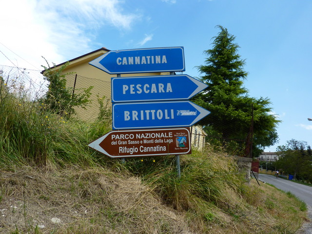 P1000335.JPG