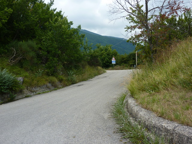P1000337.JPG