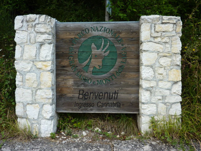 P1000338.JPG