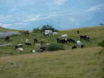 P1000353.JPG