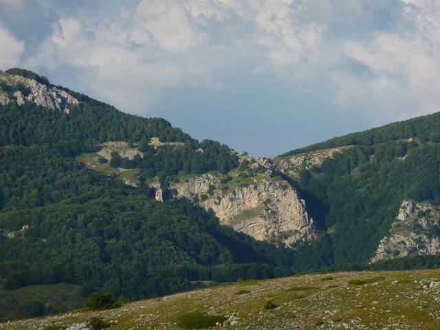 P1000371.JPG