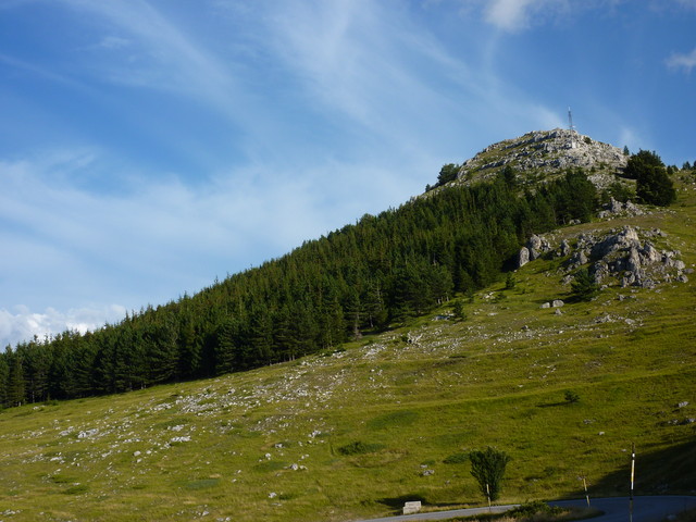 P1000372.JPG