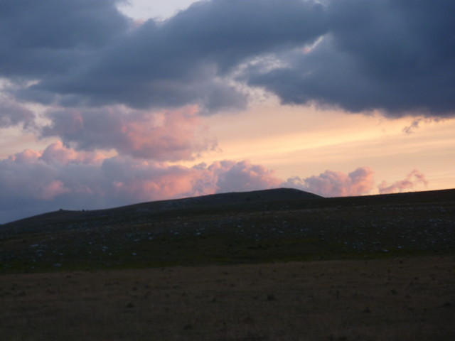 P1000386.JPG