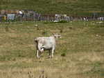 P1000412.JPG
