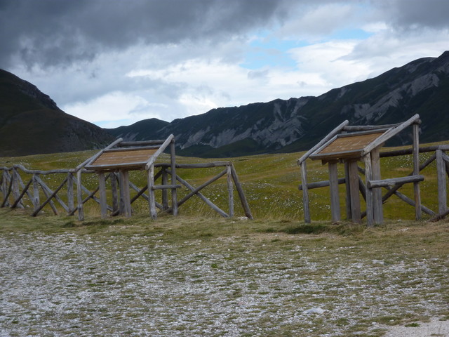 P1000414.JPG