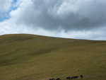 P1000415.JPG