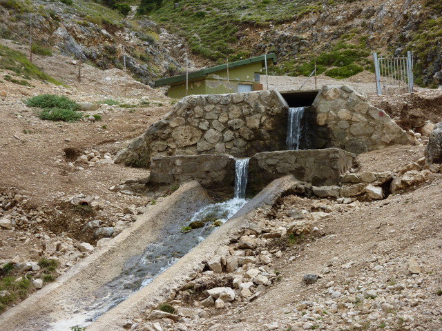 P1000419.JPG