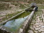 P1000420.JPG
