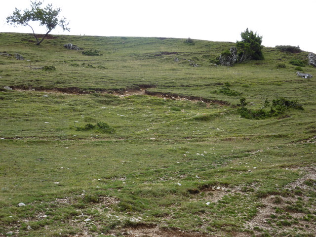 P1000421.JPG