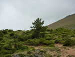 P1000423.JPG