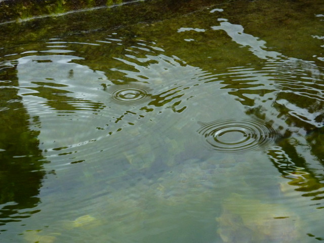 P1000425.JPG