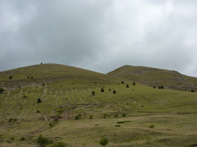 P1000428.JPG