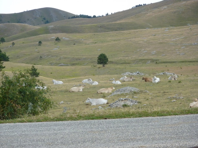 P1000435.JPG