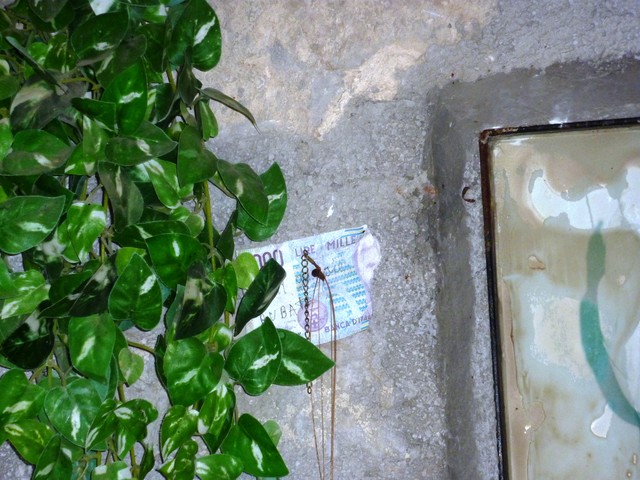 P1000437.JPG