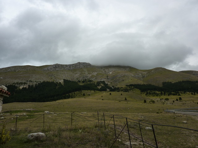P1000439.JPG