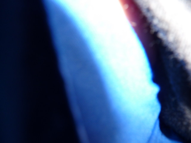 P1000489.JPG