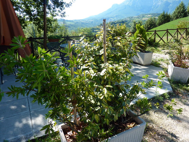 P1000503.JPG