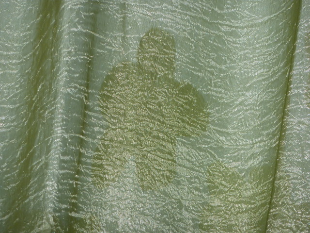 P1000537.JPG