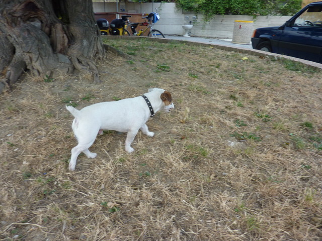 P1000539.JPG